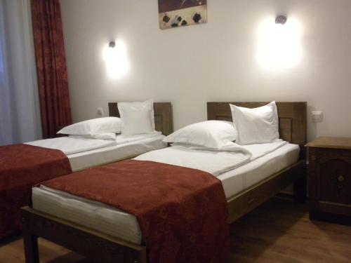 Imagen de la habitación del Hotel Pensiunea Cetatea Craiului. Foto 2