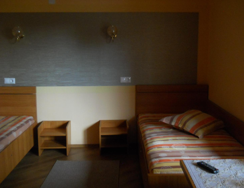 Imagen general del Hotel Pensiunea Cora. Foto 11