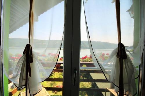 Imagen general del Hotel Pensiunea Danubia. Foto 3