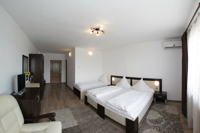 Imagen de la habitación del Hotel Pensiunea Denim. Foto 20