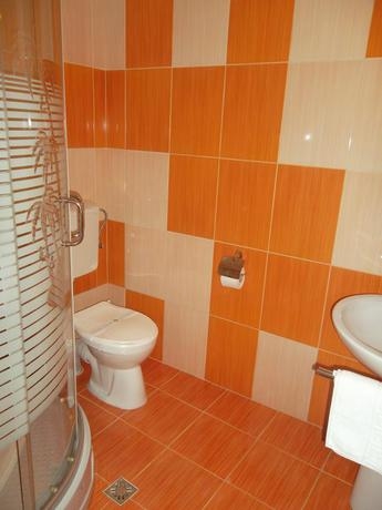 Imagen de los interiores del Hotel Pensiunea Diadis. Foto 4