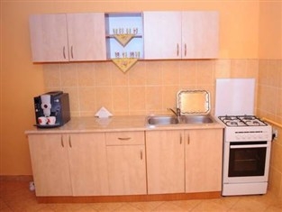 Imagen de los interiores del Hotel Pensiunea Diadis. Foto 5