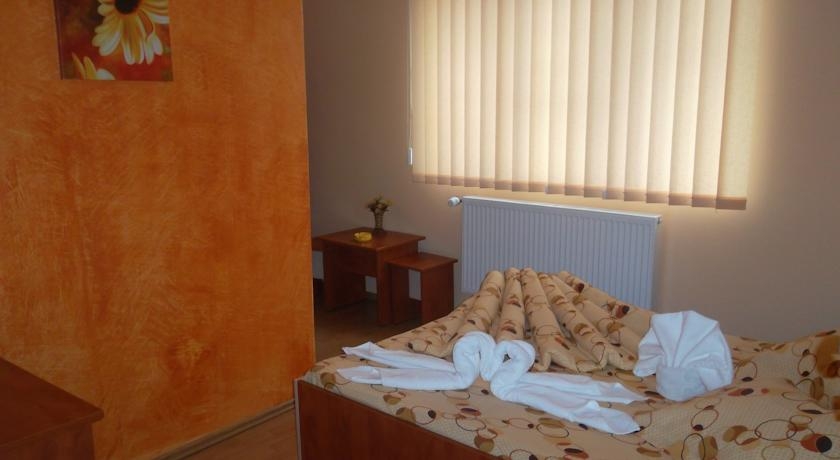 Imagen de la habitación del Hotel Pensiunea Diadis. Foto 2
