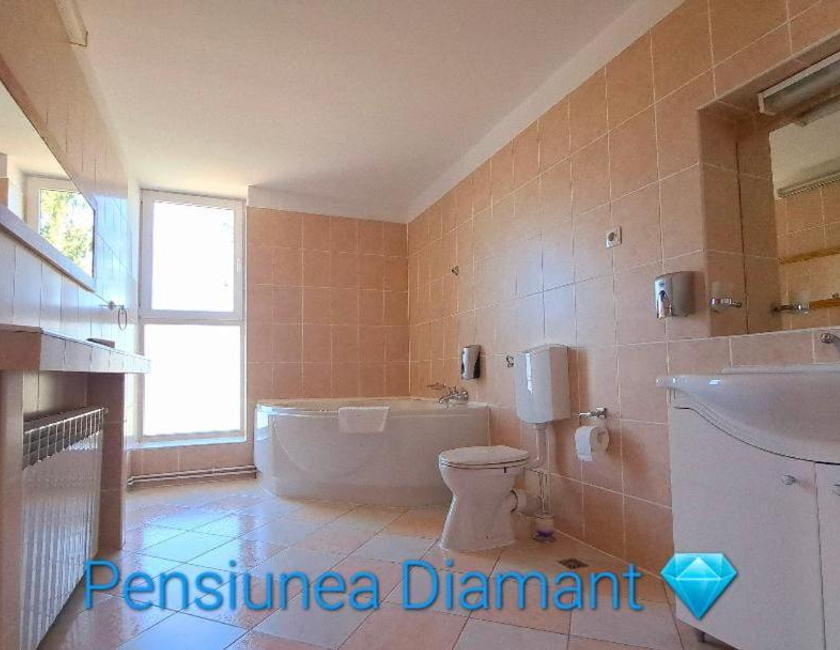 Imagen general del Hotel Pensiunea Diamant. Foto 14