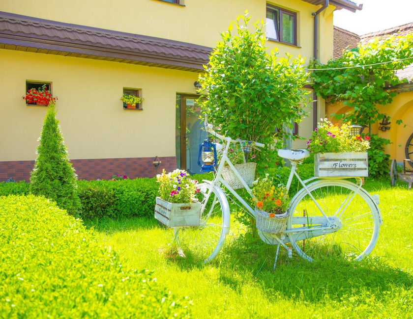 Imagen general del Hotel Pensiunea Domnescu. Foto 10