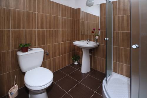 Imagen de los interiores del Hotel Pensiunea Floare de Colt. Foto 7