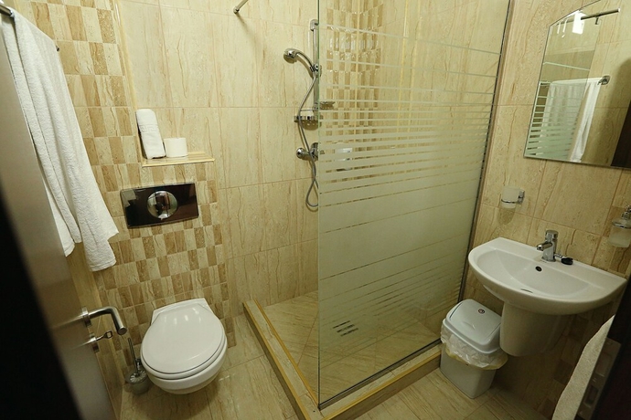 Imagen de la habitación del Hotel Pensiunea Genesa. Foto 9