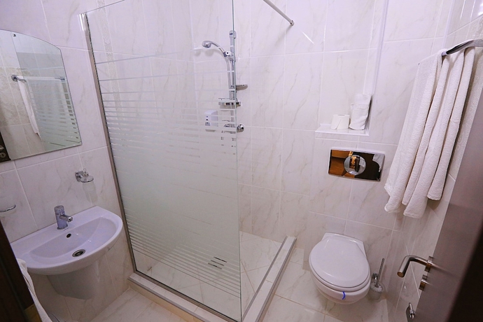 Imagen de la habitación del Hotel Pensiunea Genesa. Foto 10