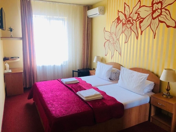 Imagen general del Hotel Pensiunea Ileana. Foto 1