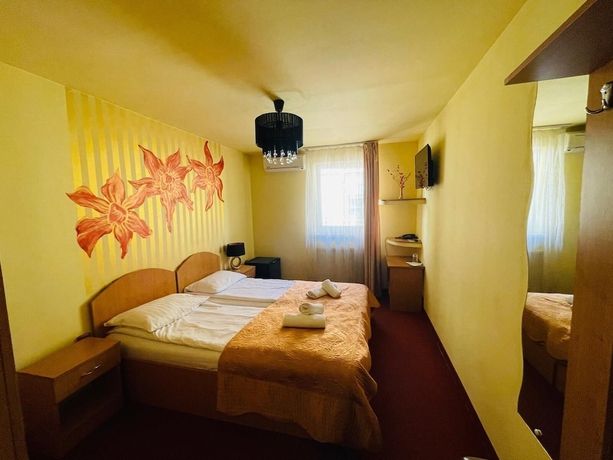 Imagen de la habitación del Hotel Pensiunea Ileana. Foto 14