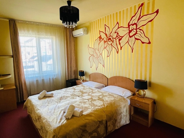 Imagen de la habitación del Hotel Pensiunea Ileana. Foto 15
