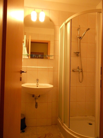 Imagen de la habitación del Hotel Pensiunea Ileana. Foto 16