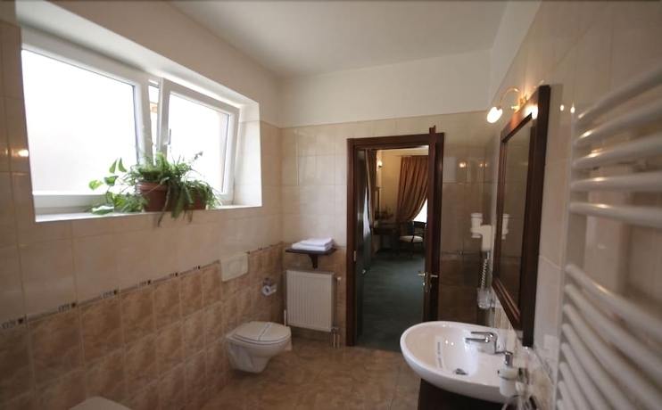 Imagen de la habitación del Hotel Pensiunea La Residenza. Foto 17