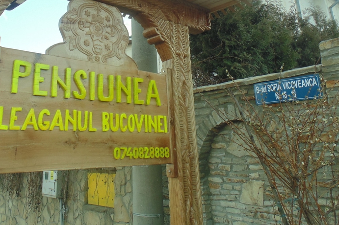 Imagen de los exteriores del Hotel Pensiunea Leaganul Bucovinei. Foto 12