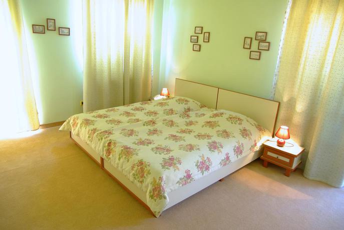 Imagen general del Hotel Pensiunea Luiza. Foto 6