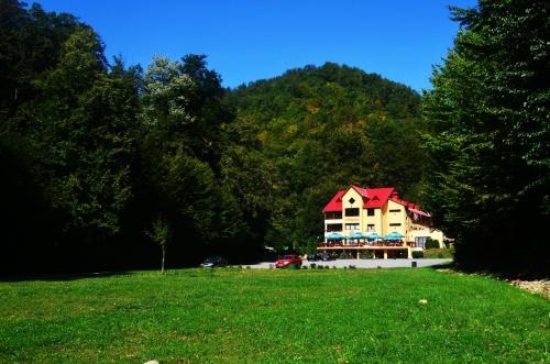 Imagen general del Hotel Pensiunea Magura. Foto 2