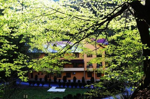 Imagen general del Hotel Pensiunea Magura. Foto 3