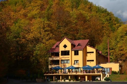 Imagen general del Hotel Pensiunea Magura. Foto 4