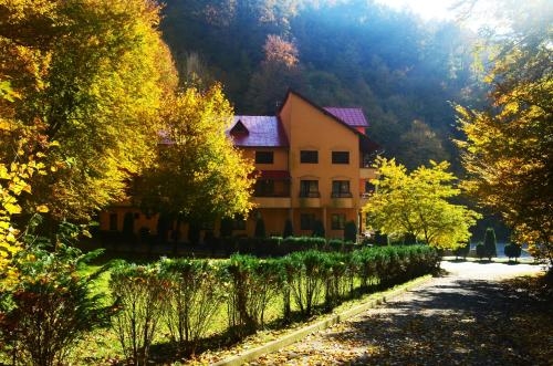 Imagen general del Hotel Pensiunea Magura. Foto 5