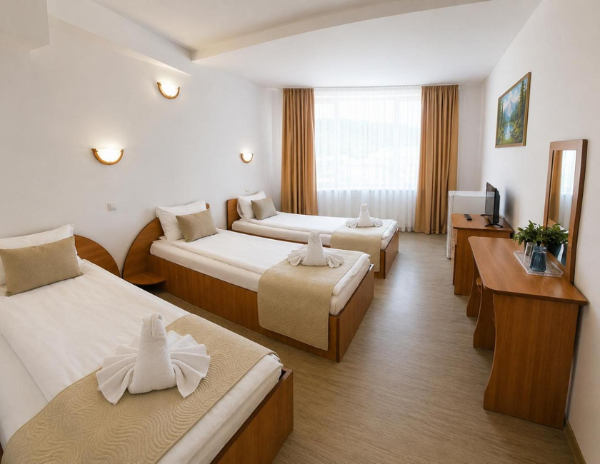 Imagen general del Hotel Pensiunea Moldova. Foto 2