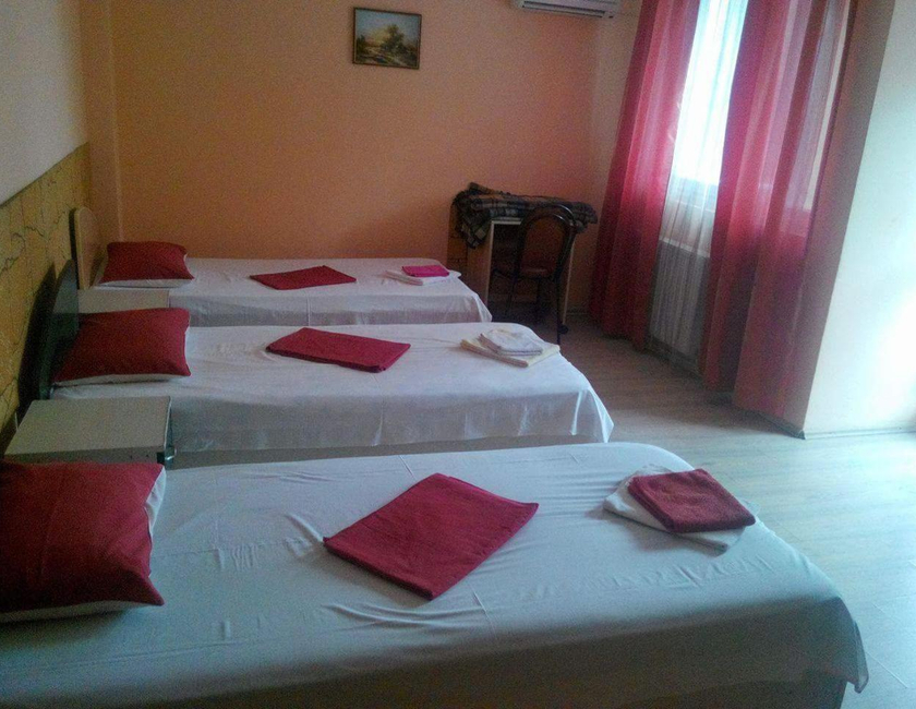 Imagen general del Hotel Pensiunea Nicol Tulcea. Foto 8