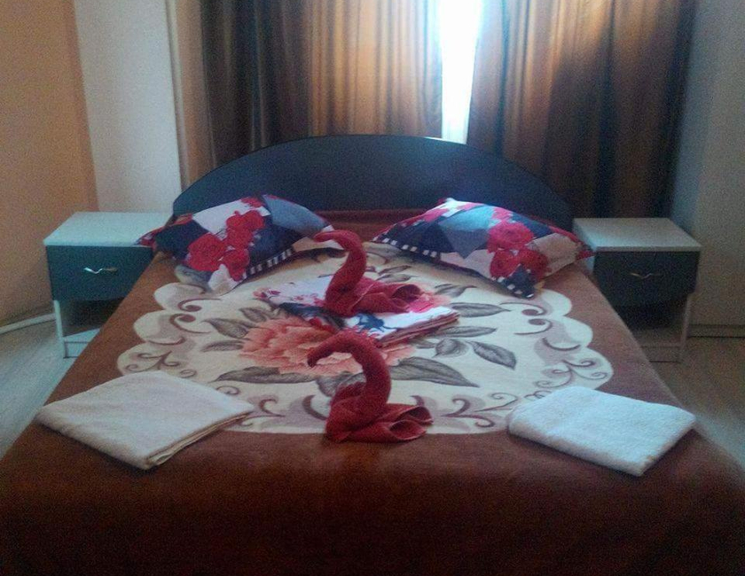 Imagen general del Hotel Pensiunea Nicol Tulcea. Foto 9