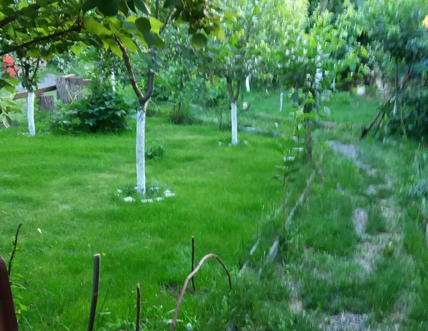 Imagen general del Hotel Pensiunea Nicol Tulcea. Foto 14