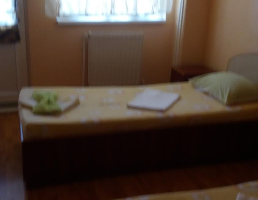Imagen general del Hotel Pensiunea Nicol Tulcea. Foto 25
