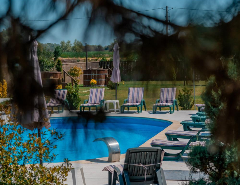 Imagen general del Hotel Pensiunea Ovidiu. Foto 5