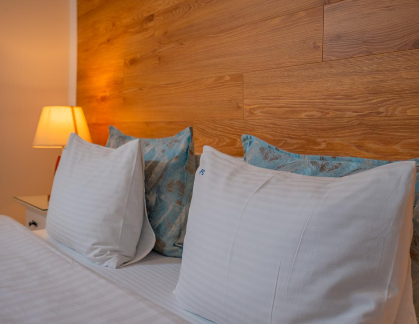 Imagen general del Hotel Pensiunea Ovidiu. Foto 10