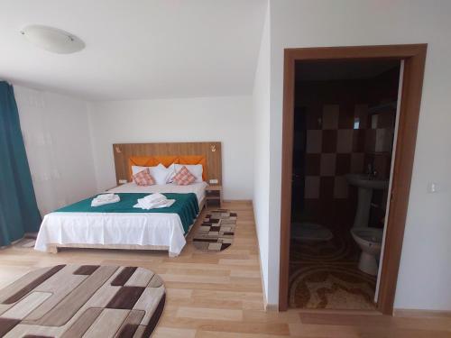 Imagen general del Hotel Pensiunea Paradiso Sarinasuf. Foto 3