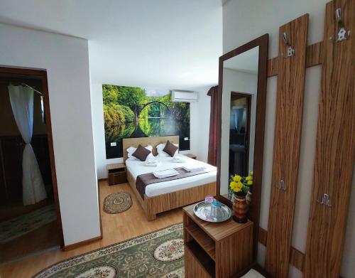 Imagen general del Hotel Pensiunea Paradiso Sarinasuf. Foto 5