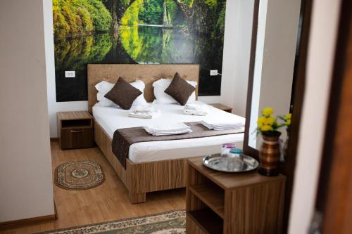Imagen general del Hotel Pensiunea Paradiso Sarinasuf. Foto 15