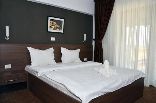 Imagen general del Hotel Pensiunea Sara. Foto 5