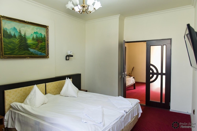 Imagen de la habitación del Hotel Pensiunea Schwartz. Foto 15