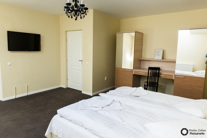 Imagen de la habitación del Hotel Pensiunea Schwartz. Foto 16