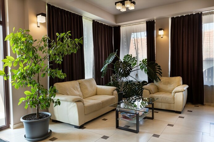 Imagen general del Hotel Pensiunea Violeta. Foto 2