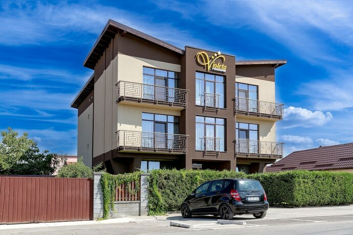 Imagen general del Hotel Pensiunea Violeta. Foto 5