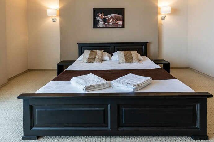 Imagen de la habitación del Hotel Pensiunea Violeta. Foto 12