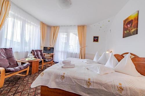 Imagen de la habitación del Hotel Pensiunea turistica Andra. Foto 20