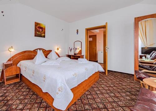 Imagen general del Hotel Pensiunea turistica Andra. Foto 2