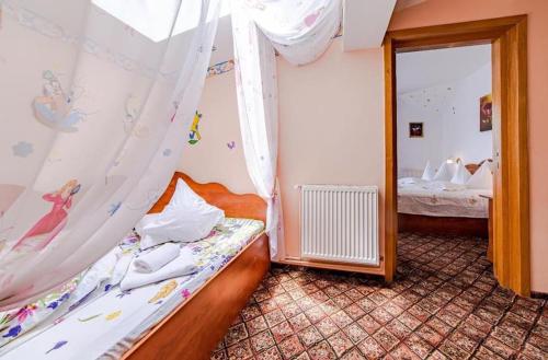Imagen general del Hotel Pensiunea turistica Andra. Foto 4