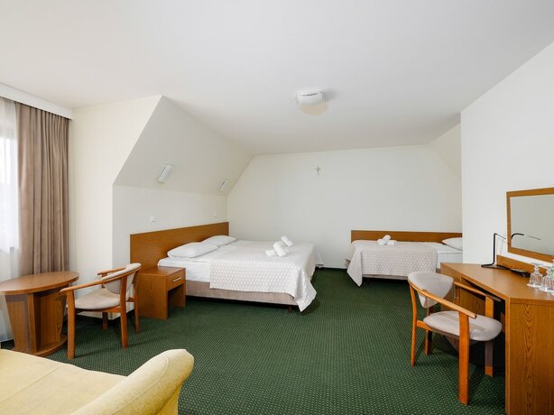 Imagen de la habitación del Hotel Pensjonat Dziubas. Foto 13