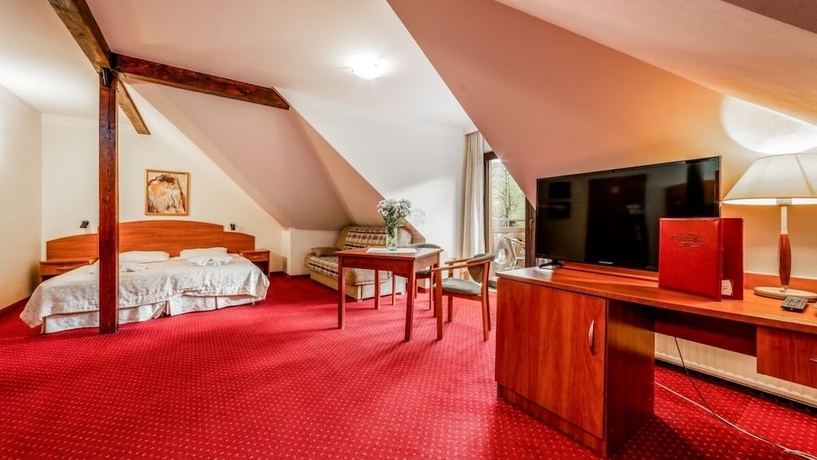 Imagen de la habitación del Hotel Pensjonat Karkonoski Spa. Foto 6