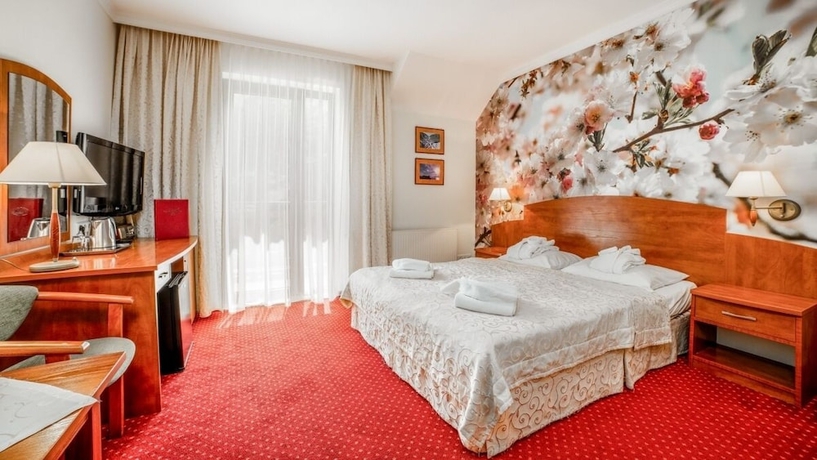 Imagen de la habitación del Hotel Pensjonat Karkonoski Spa. Foto 16