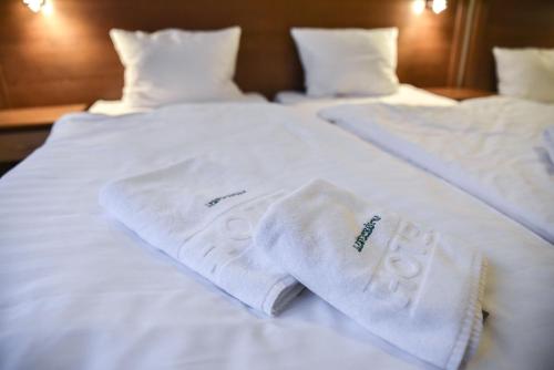 Imagen de la habitación del Hotel Pensjonat Leśnicz&oacute;wka. Foto 10
