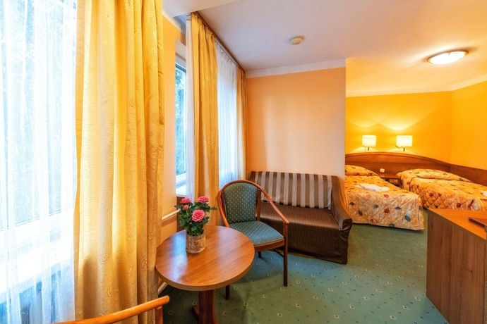 Imagen de la habitación del Hotel Pensjonat Telimena - Polskie Tatry S.a.. Foto 3