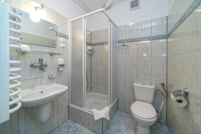 Imagen de la habitación del Hotel Pensjonat Telimena - Polskie Tatry S.a.. Foto 17