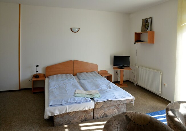 Imagen de la habitación del Hotel Penzión Agrothermal Bešeňová. Foto 16