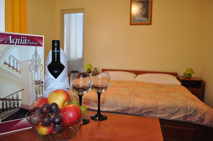 Imagen de la habitación del Hotel Penzi&oacute;n Aqua. Foto 6